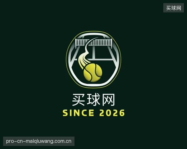 解读买球网团队